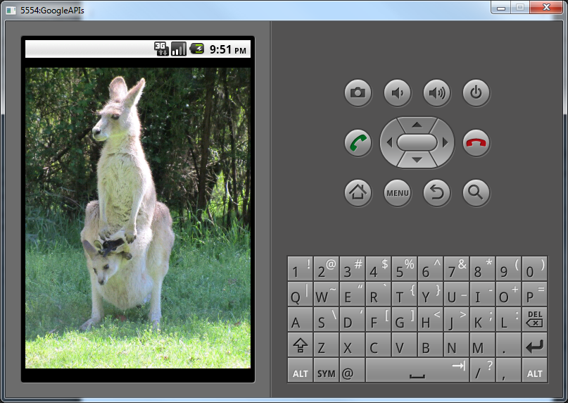 kangaroo-splash-screen-android