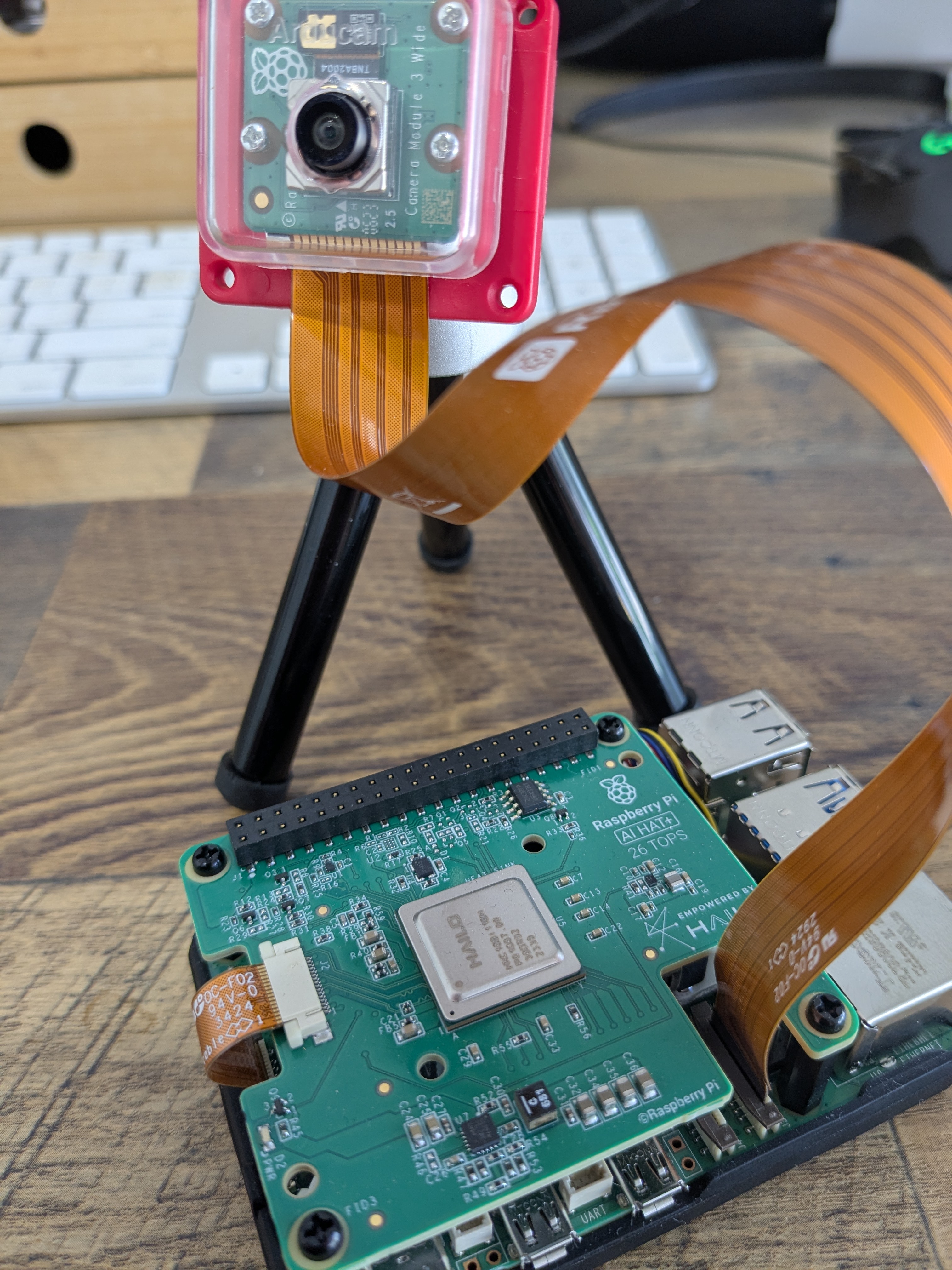 Pi 5, Pi Camera, AI Hailo HAT